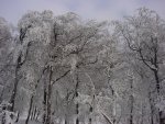 DSC00187