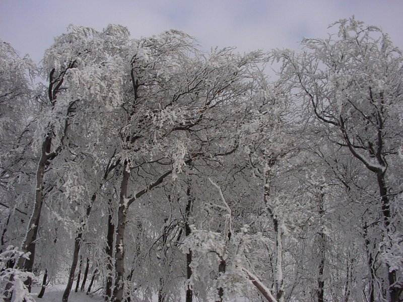 DSC00187