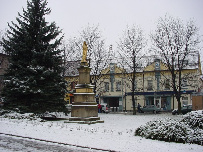 DSC00255