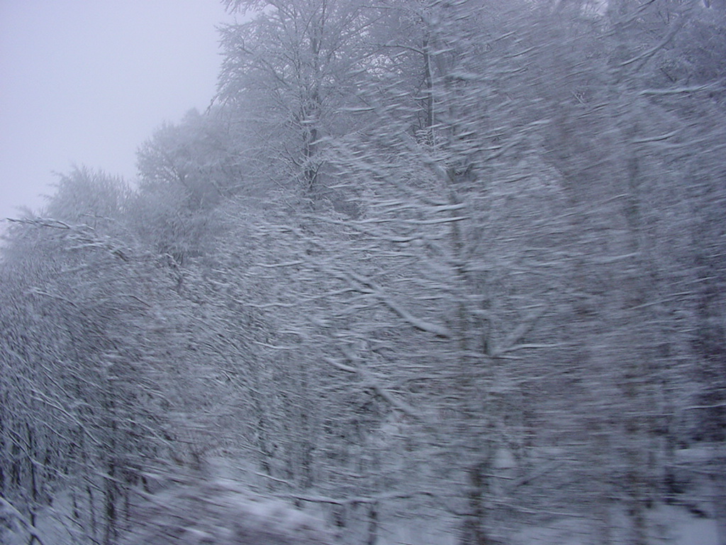 DSC00257