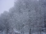 DSC00257