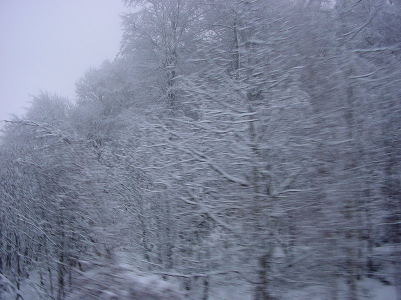 DSC00257