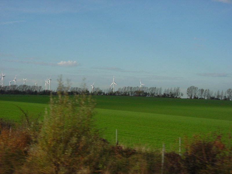 DSC00076