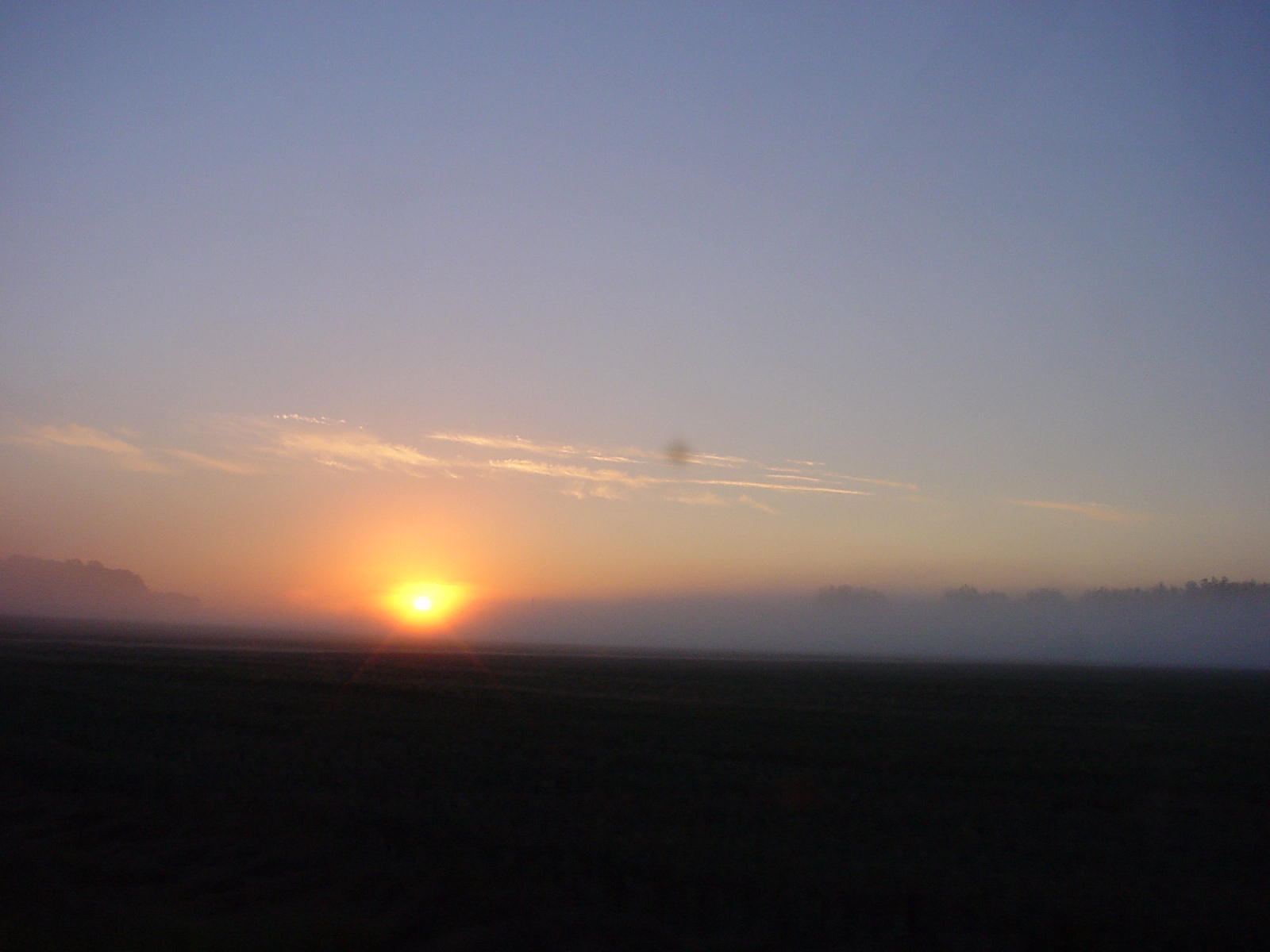DSC00041