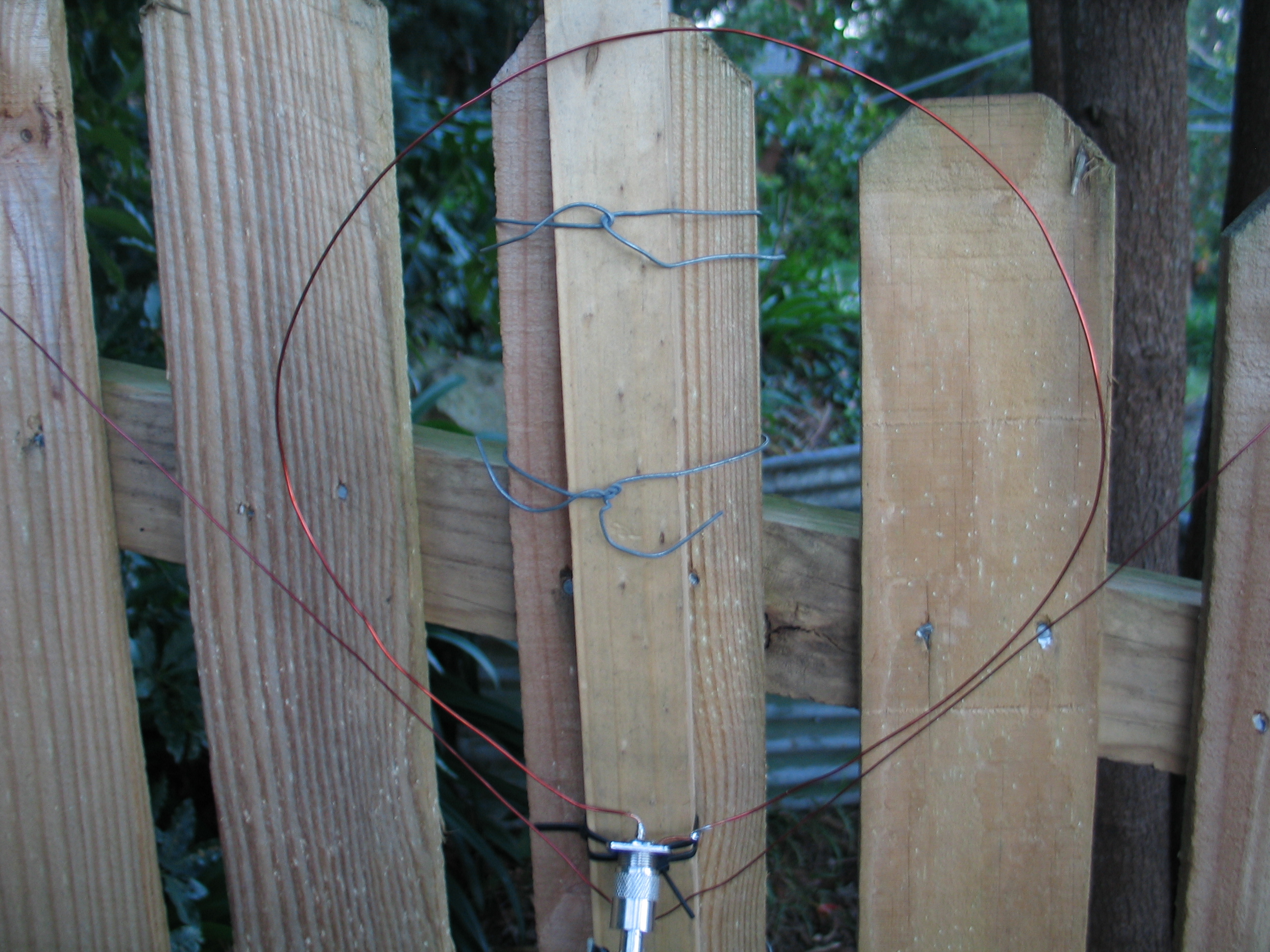 Feeding loop