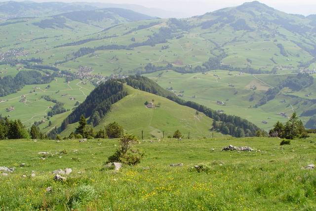 Isvyka i kalnus 023