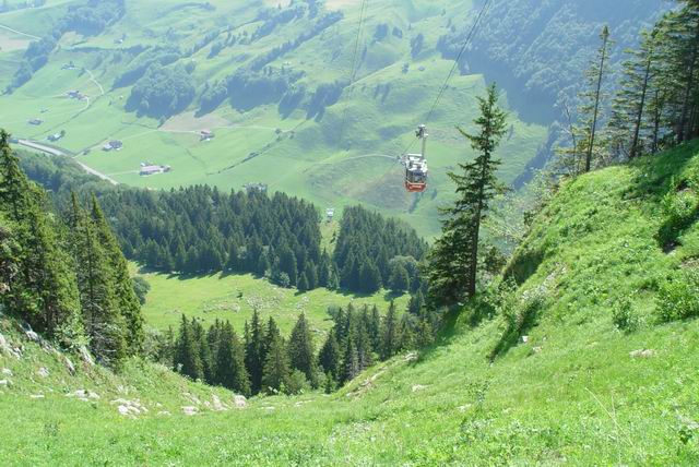 Isvyka i kalnus 026