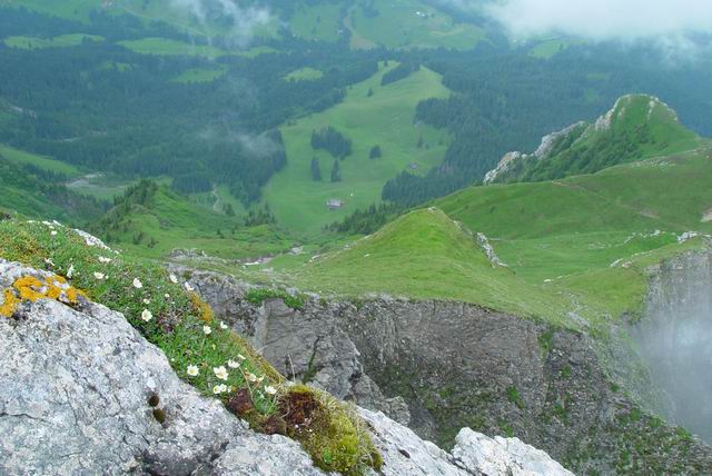 Lucerna 046